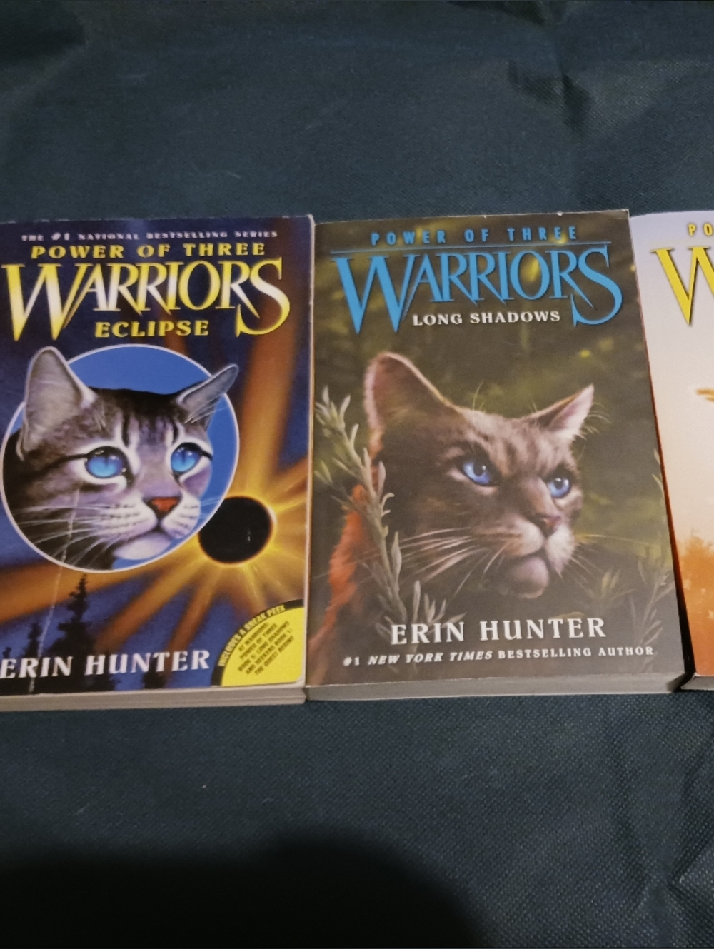 Warriors: Power Of Three (books 4,5,6)